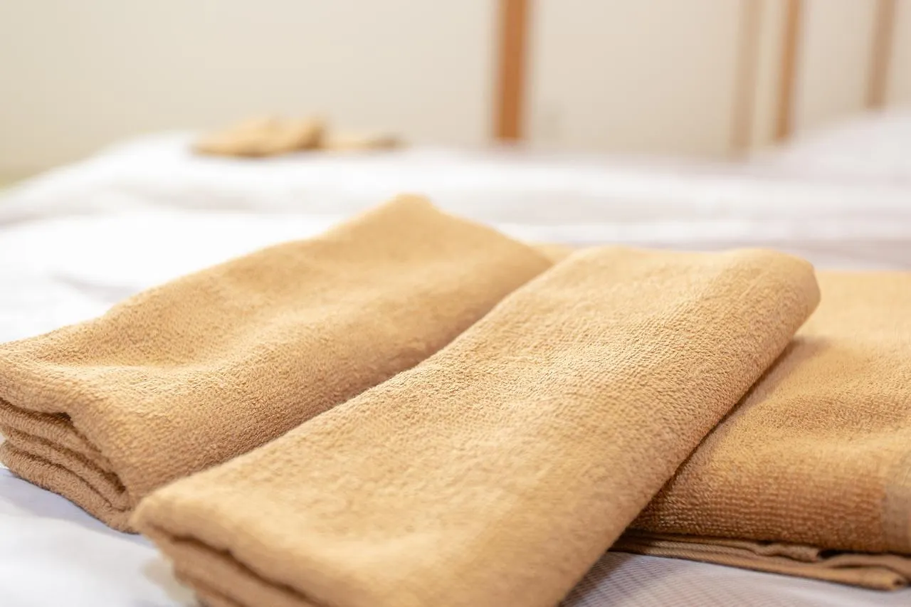 Reina'S Guest House Osaka 2*,